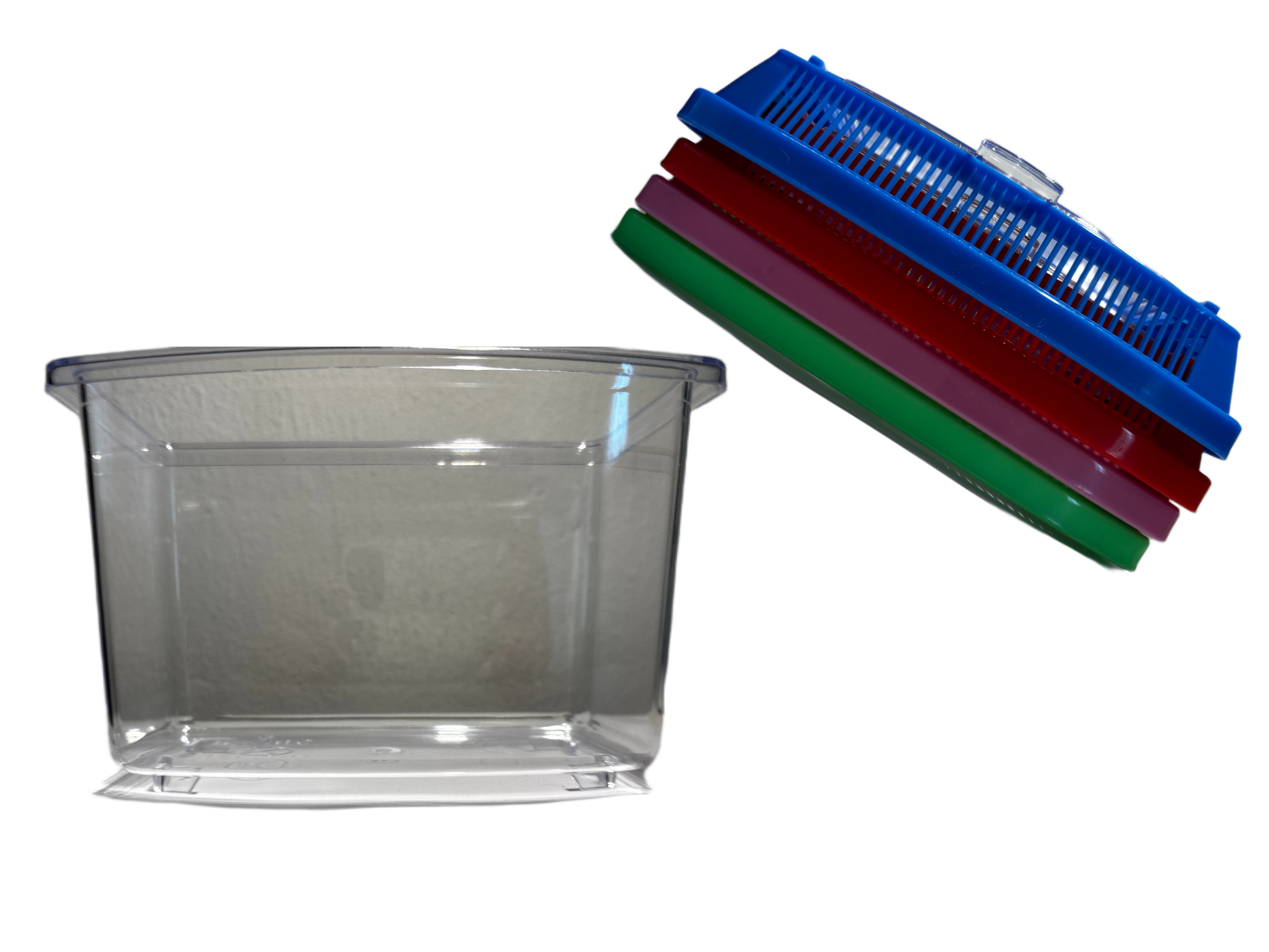 Triops Urzeitkrebse Set *klein*
