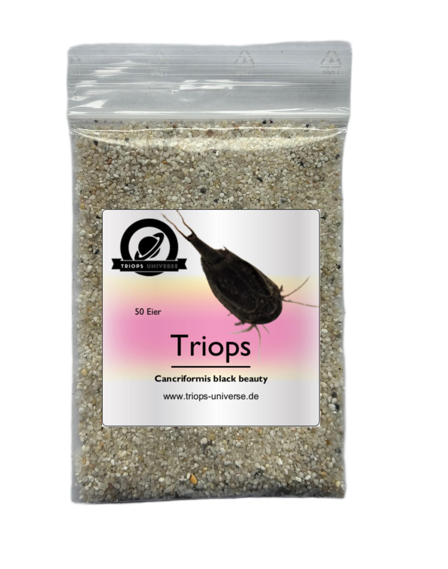 Triops Cancriformis Deutschland black beauty