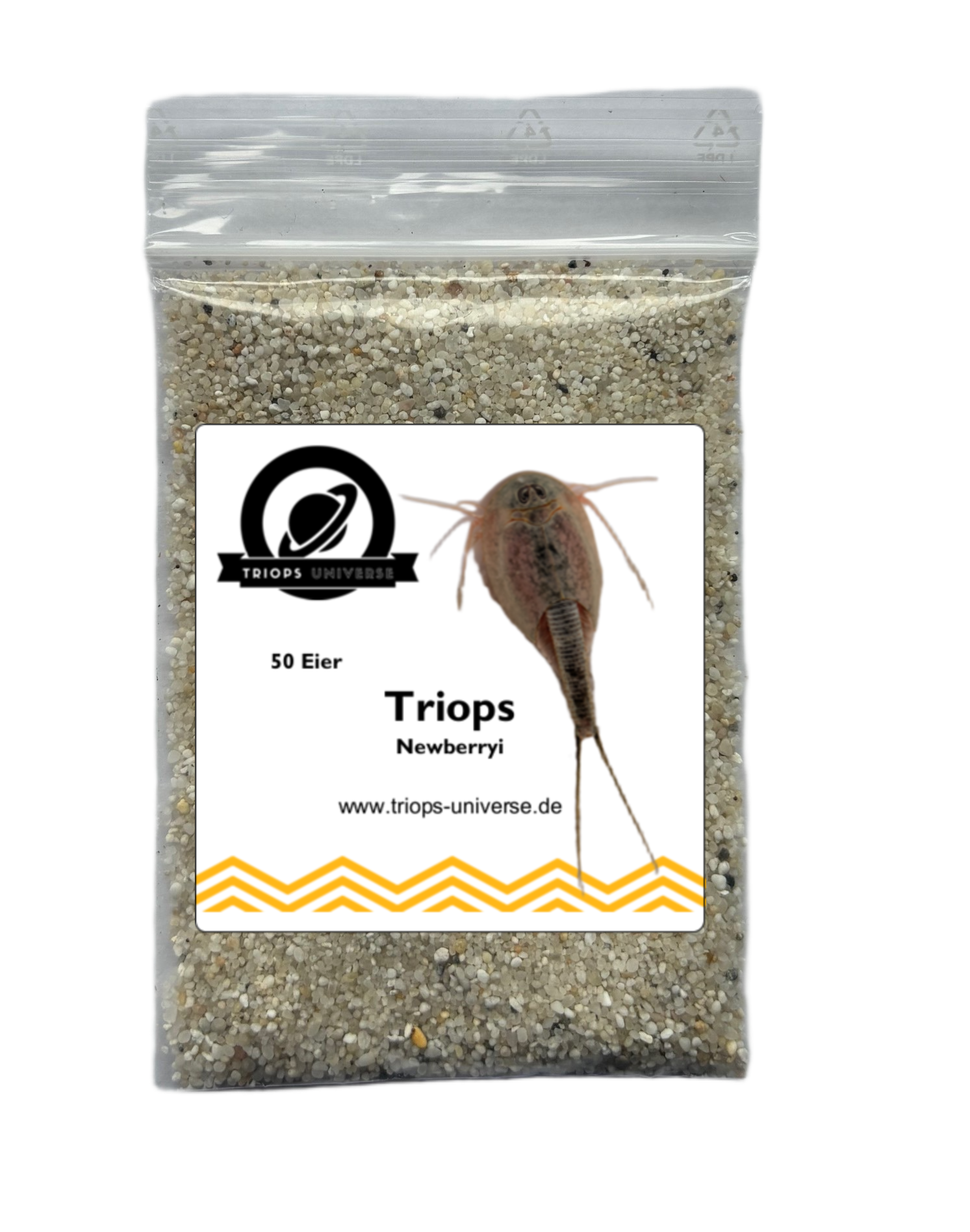 Triops Newberryi