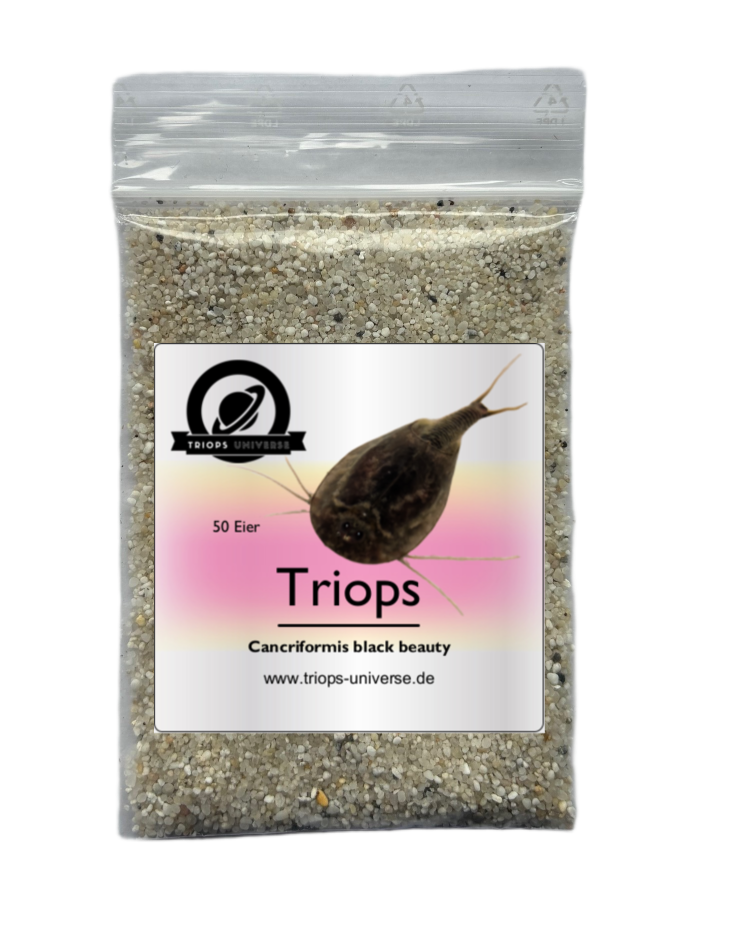 Triops Cancriformis Deutschland black beauty