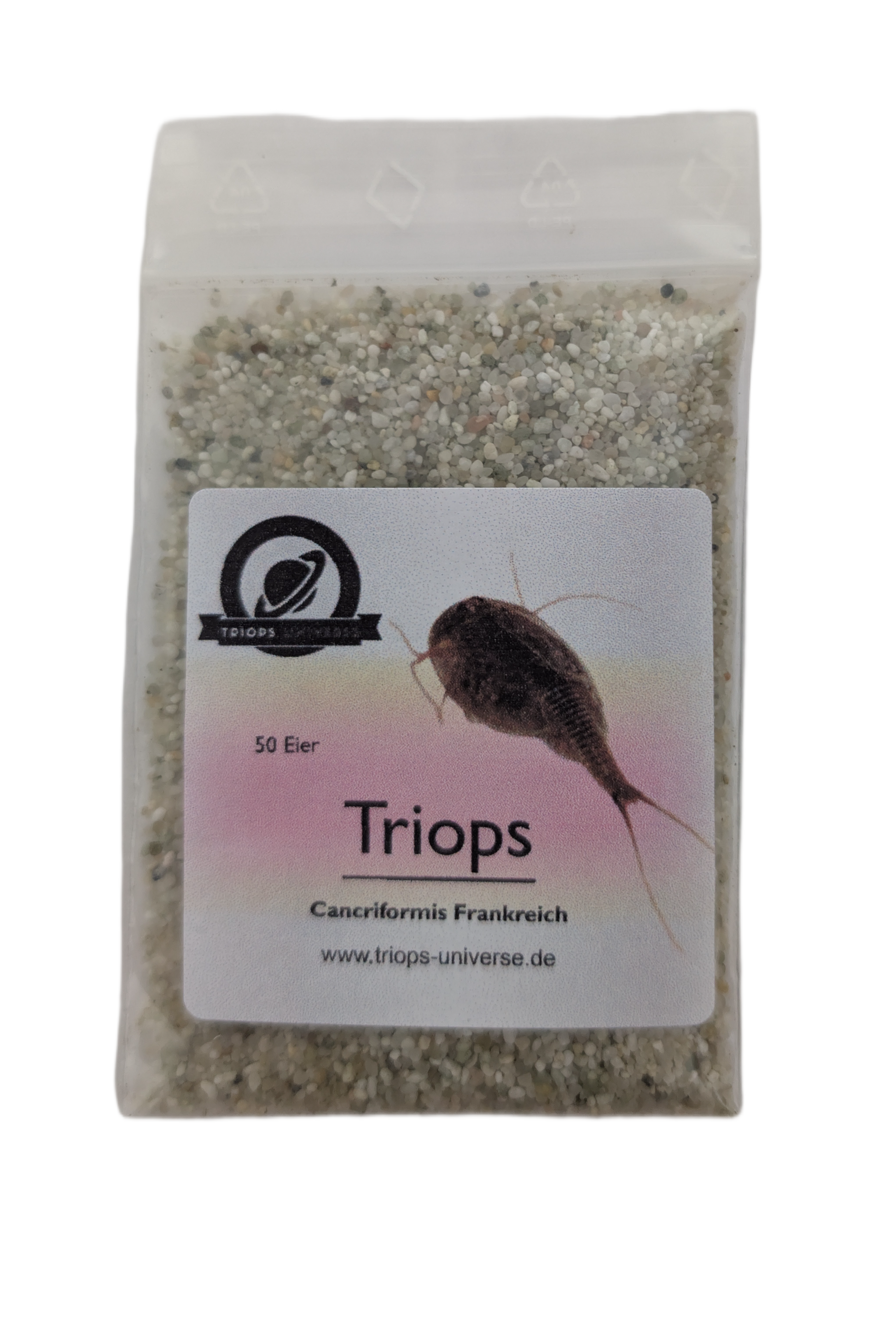 Triops Cancriformis- Frankreich