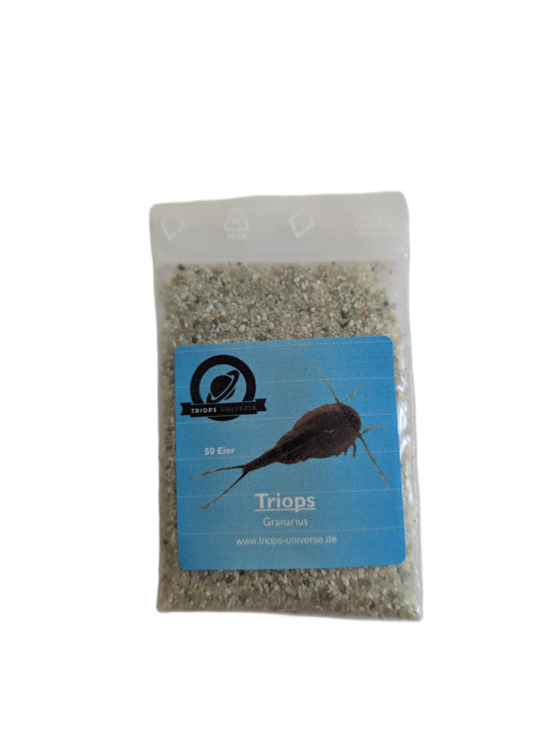 Triops Granarius - Asien