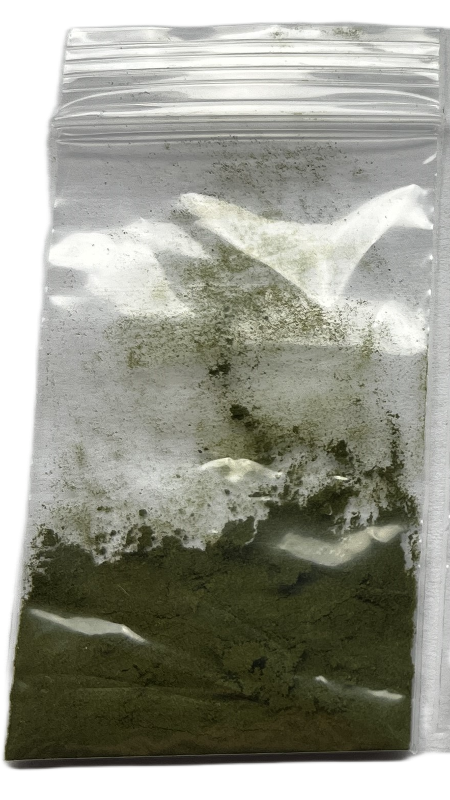 Feenkrebse S.Siamensis ca. 30.000 pure Eier