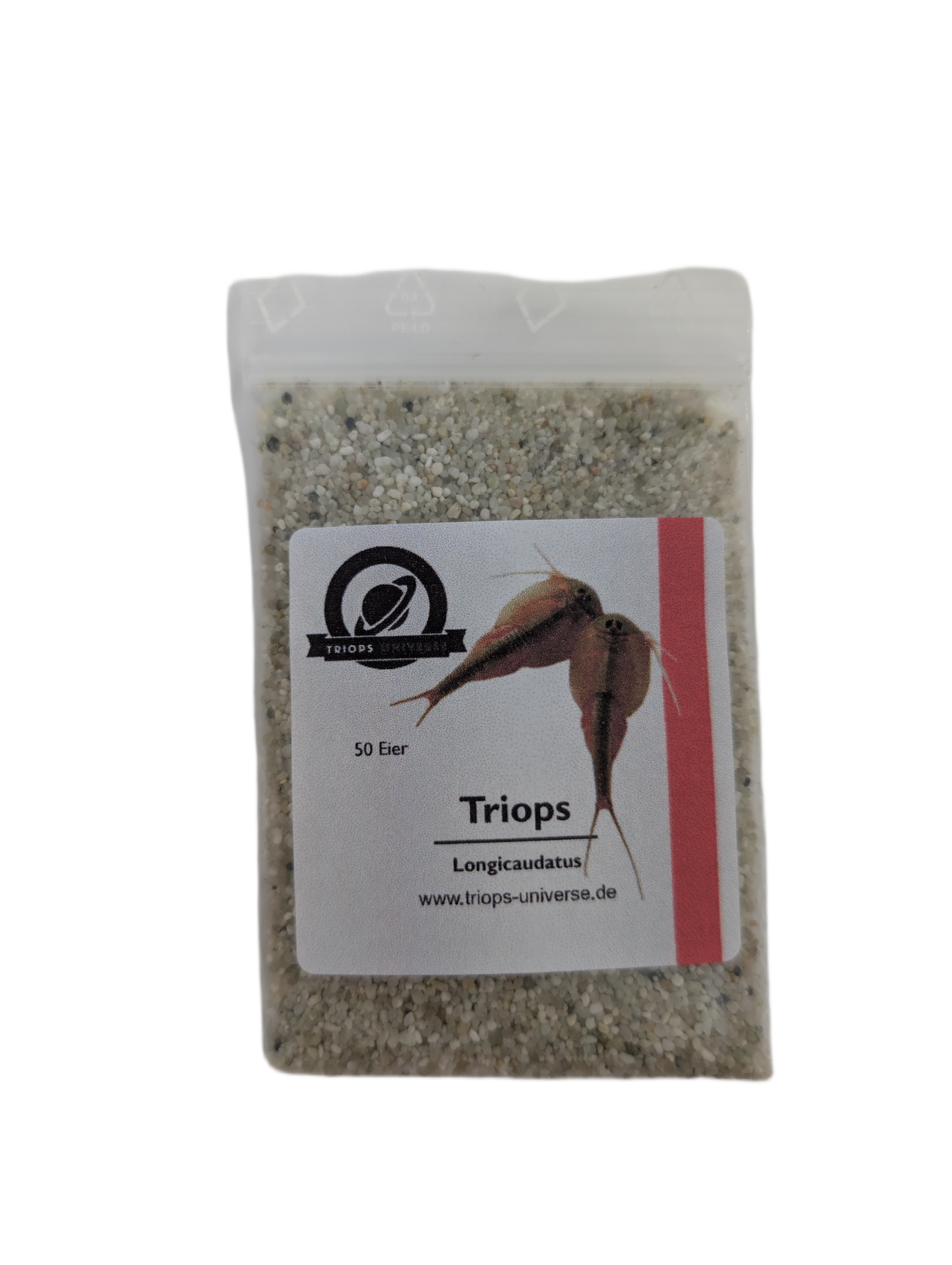 Triops Longicaudatus- USA