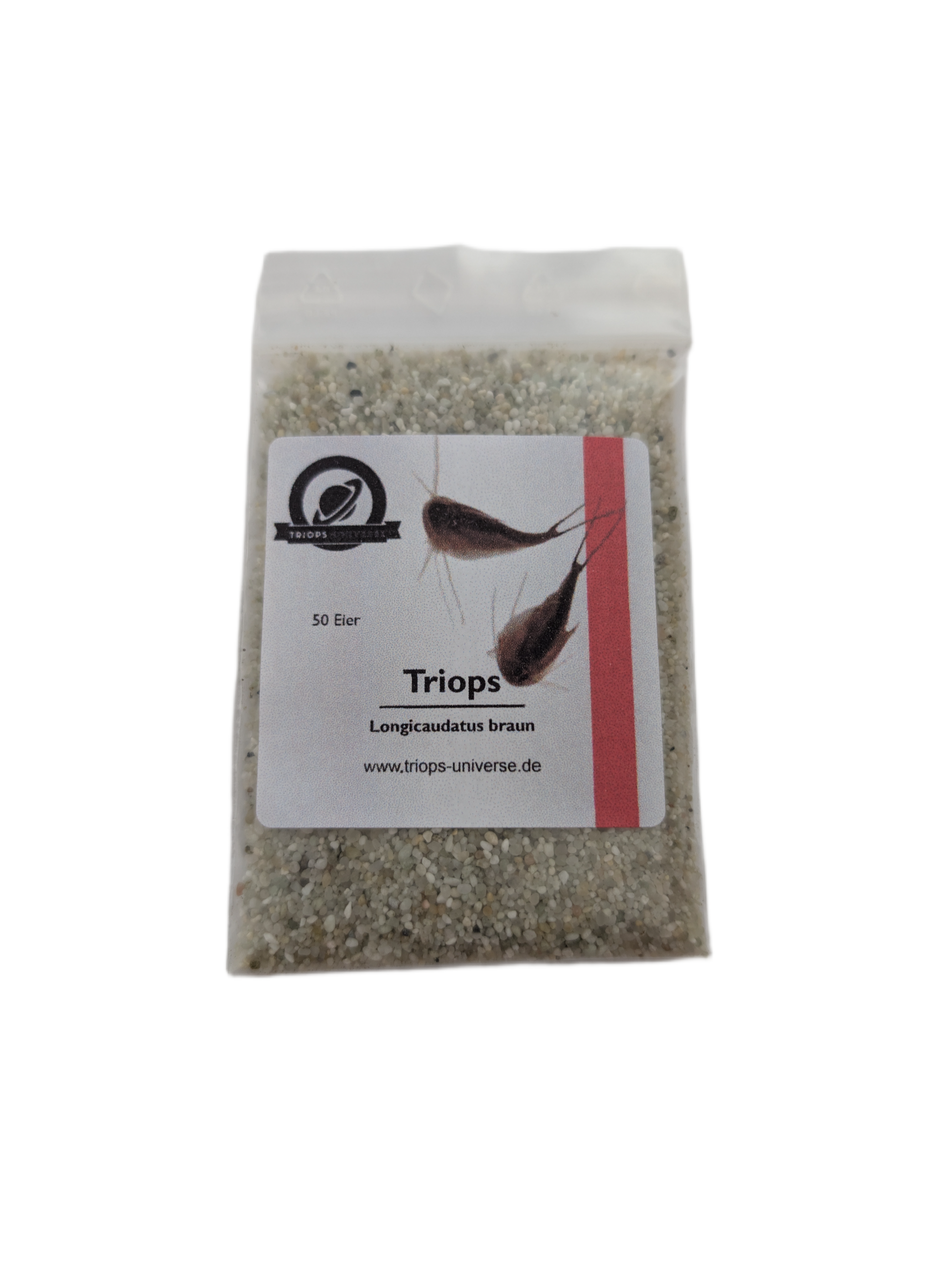 Triops Longicaudatus- braun
