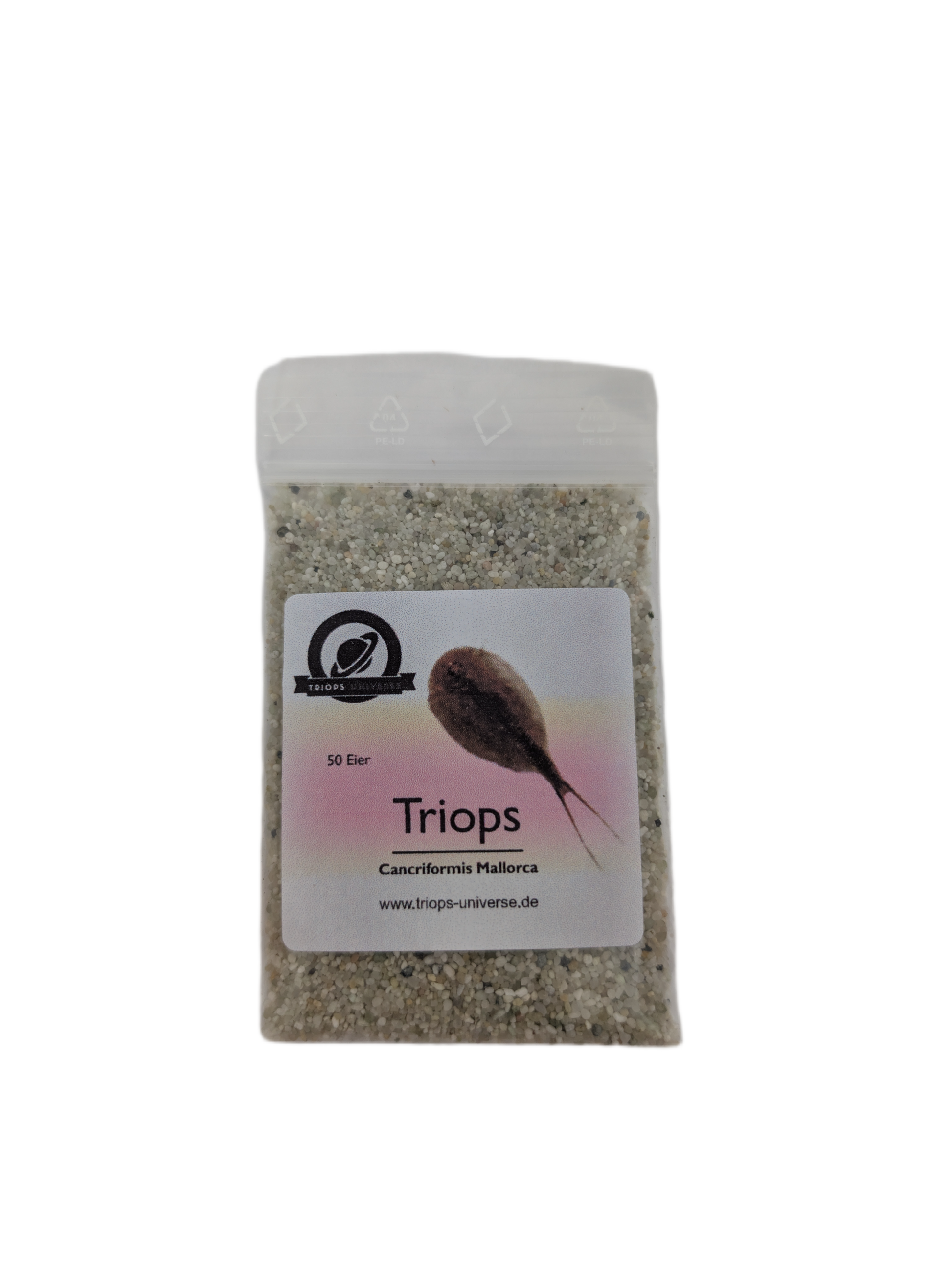 Triops Cancriformis - Mallorca