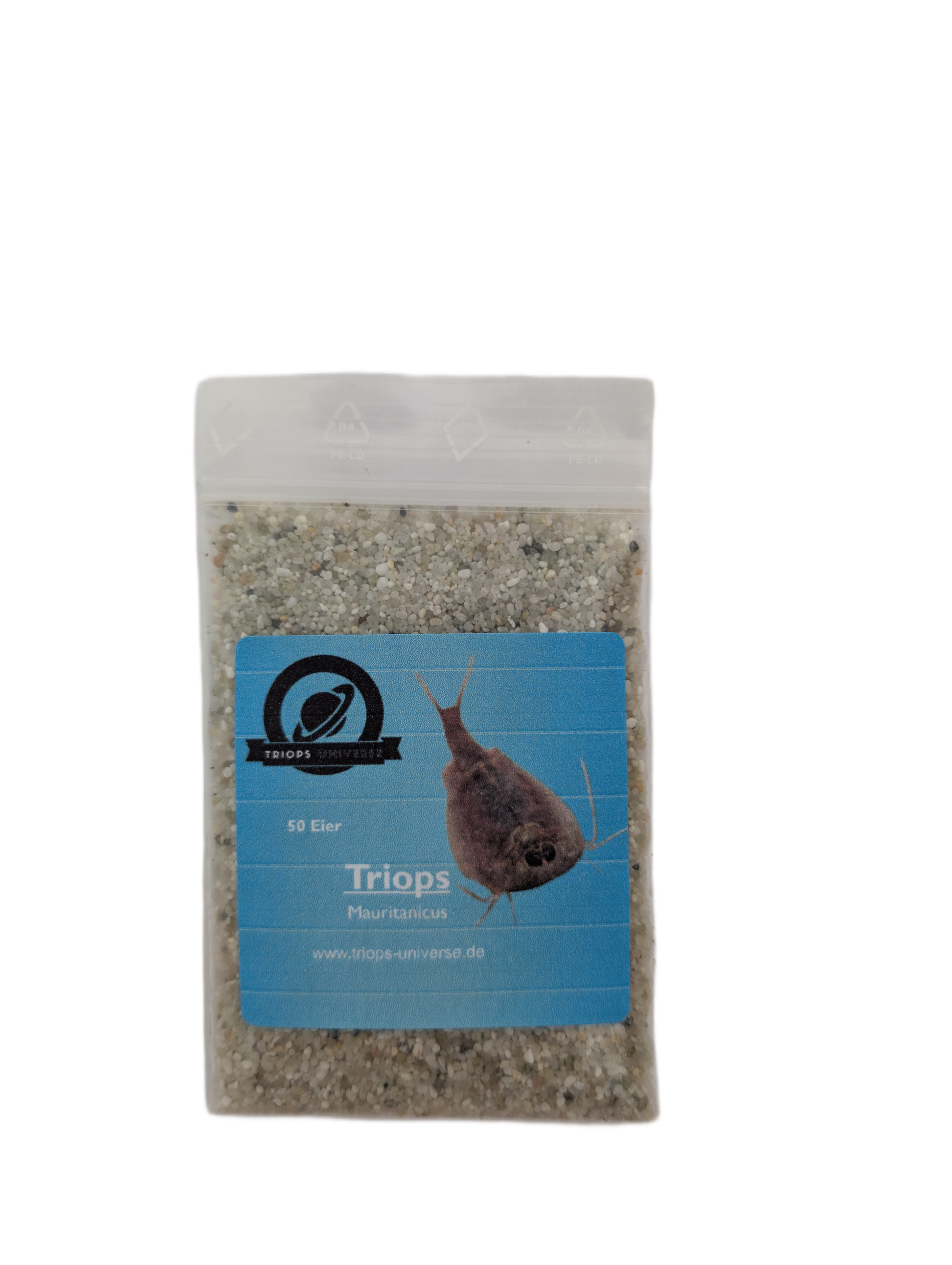 Triops Mauritanicus- Spanien