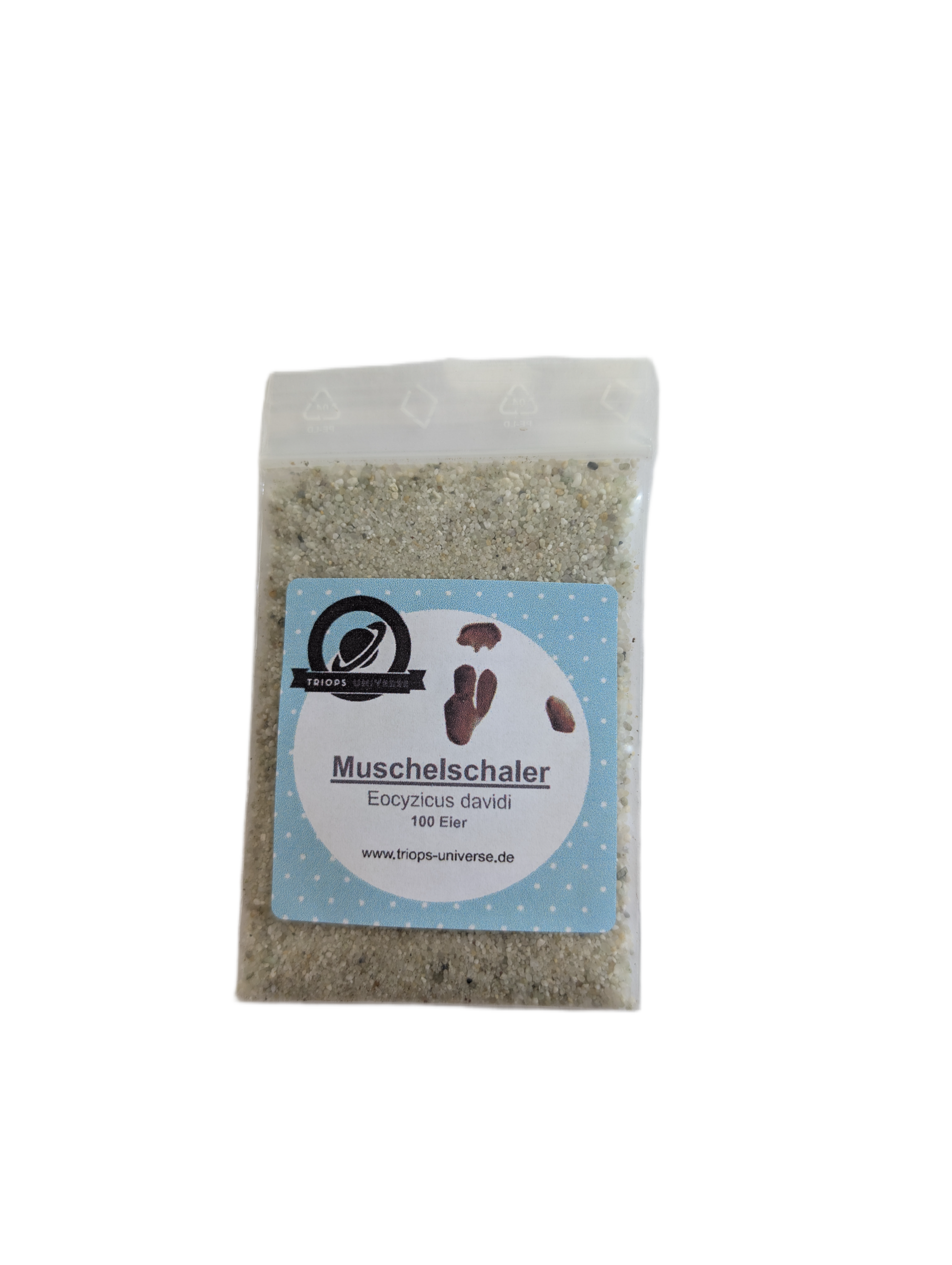 Mongolische Muschelschaler