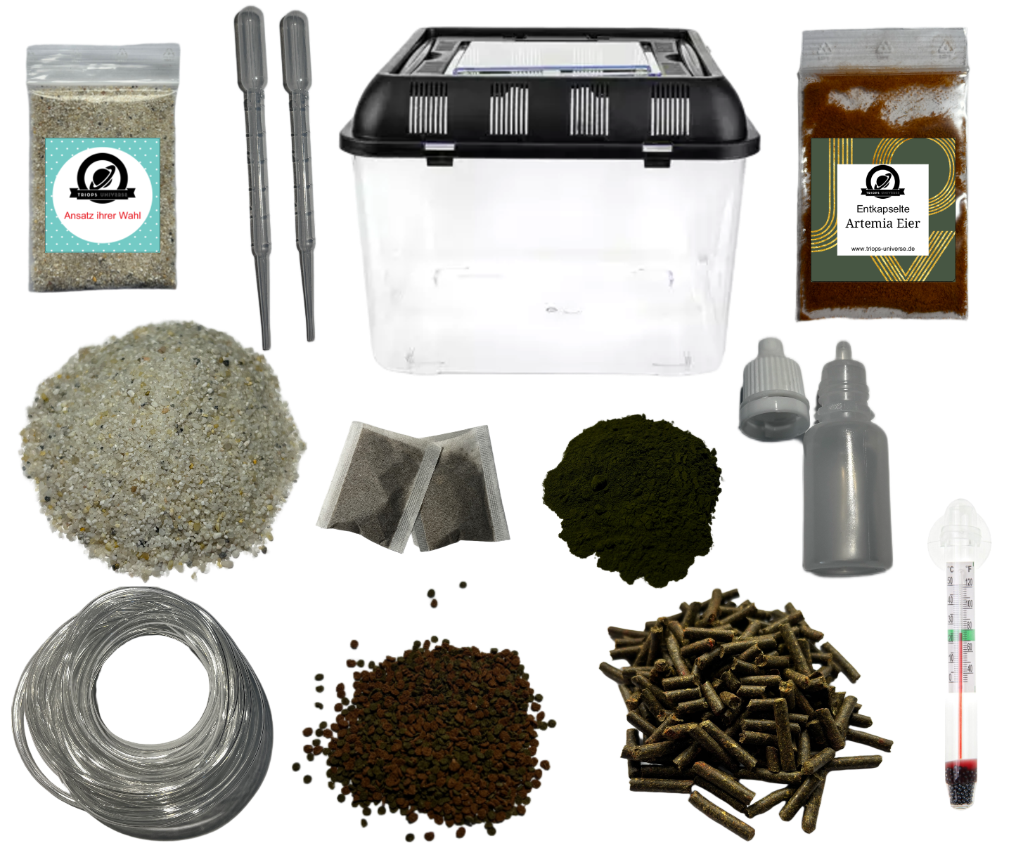 Triops Urzeitkrebse Set *mittel* Quadratisches Becken