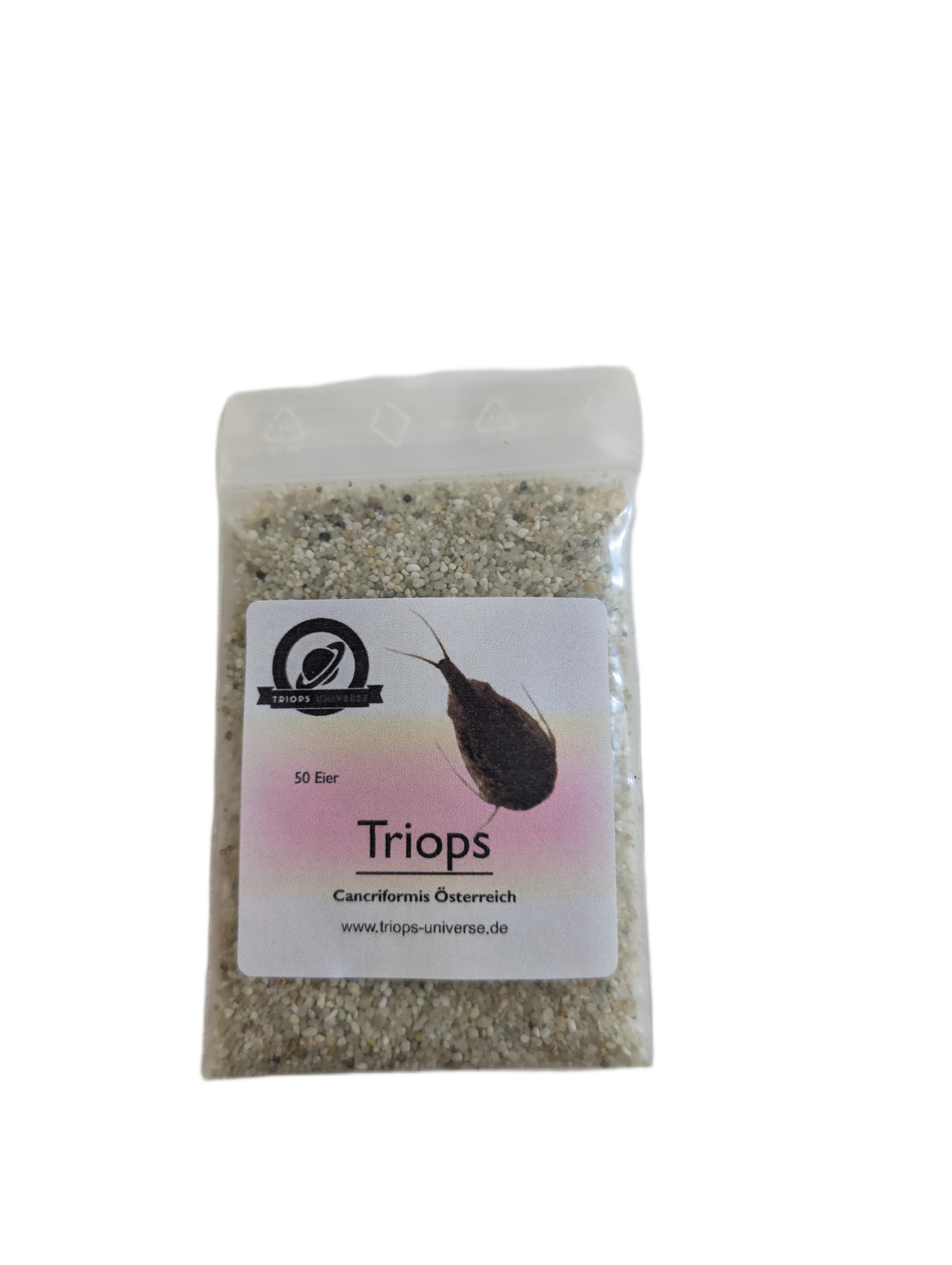 Triops Cancriformis- Österreich