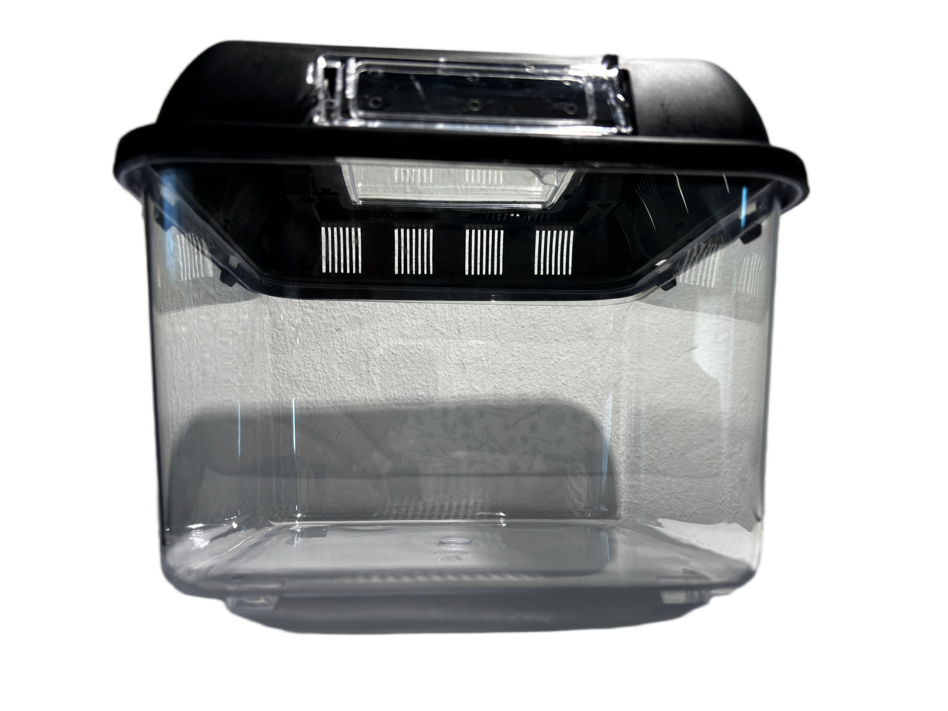 Triops Urzeitkrebse Set *mittel*
