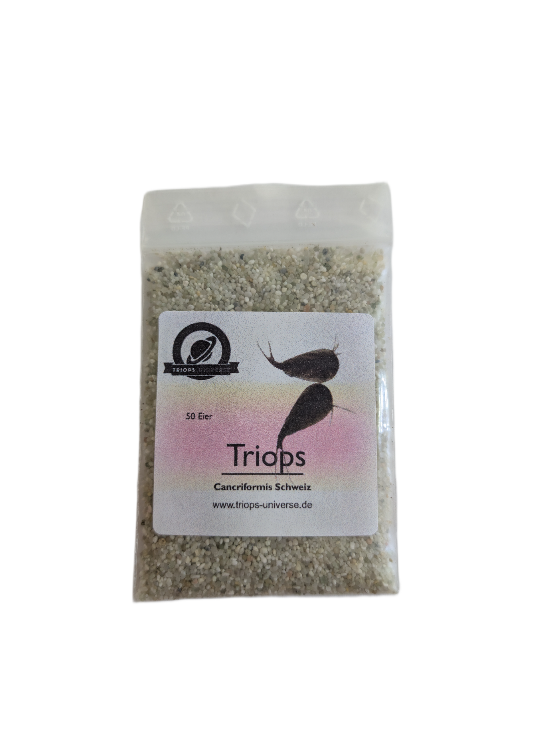 Triops Cancriformis- Schweiz