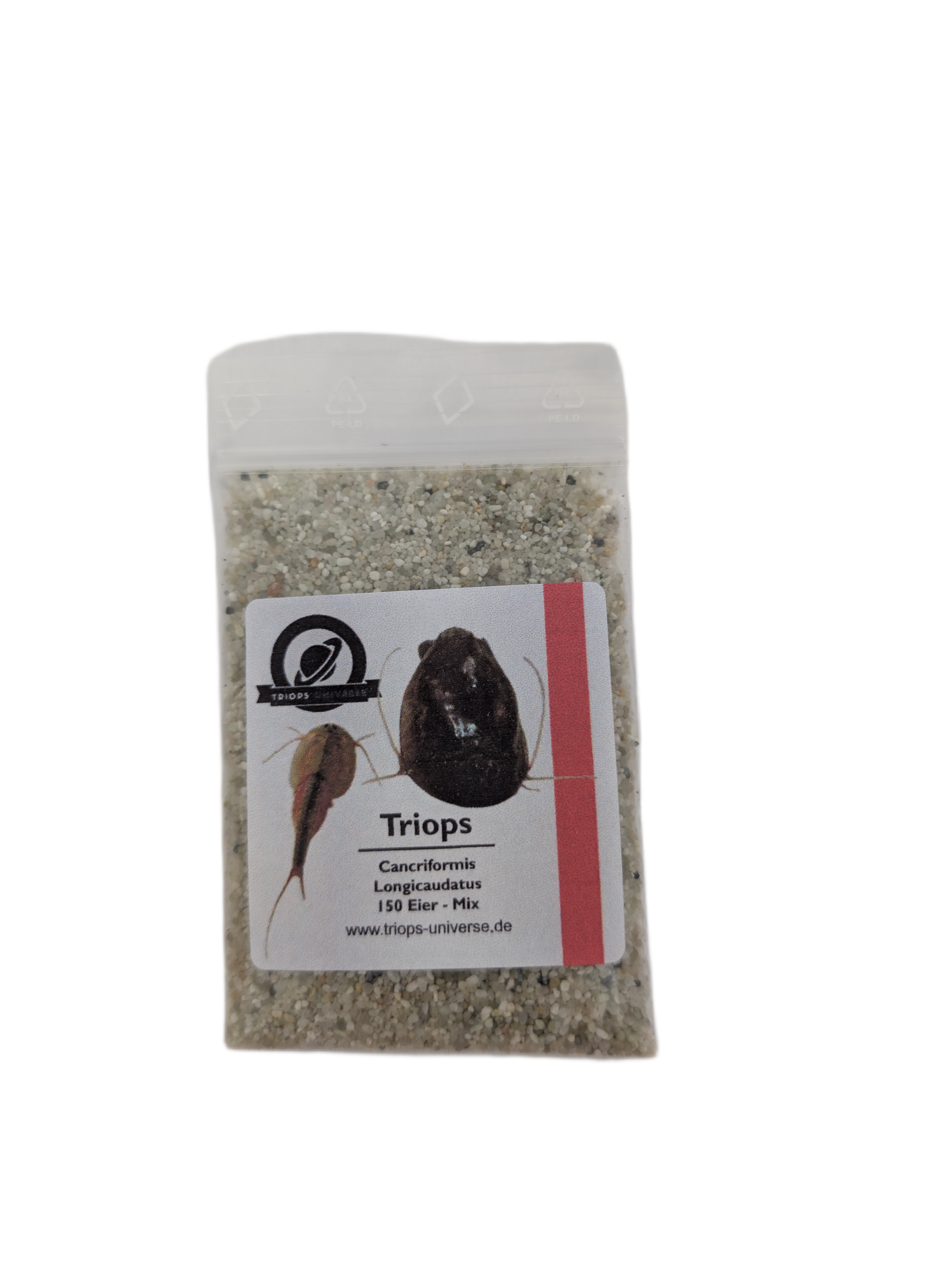 Triops Cancriformis - Longicaudatus Mix 150 Eier