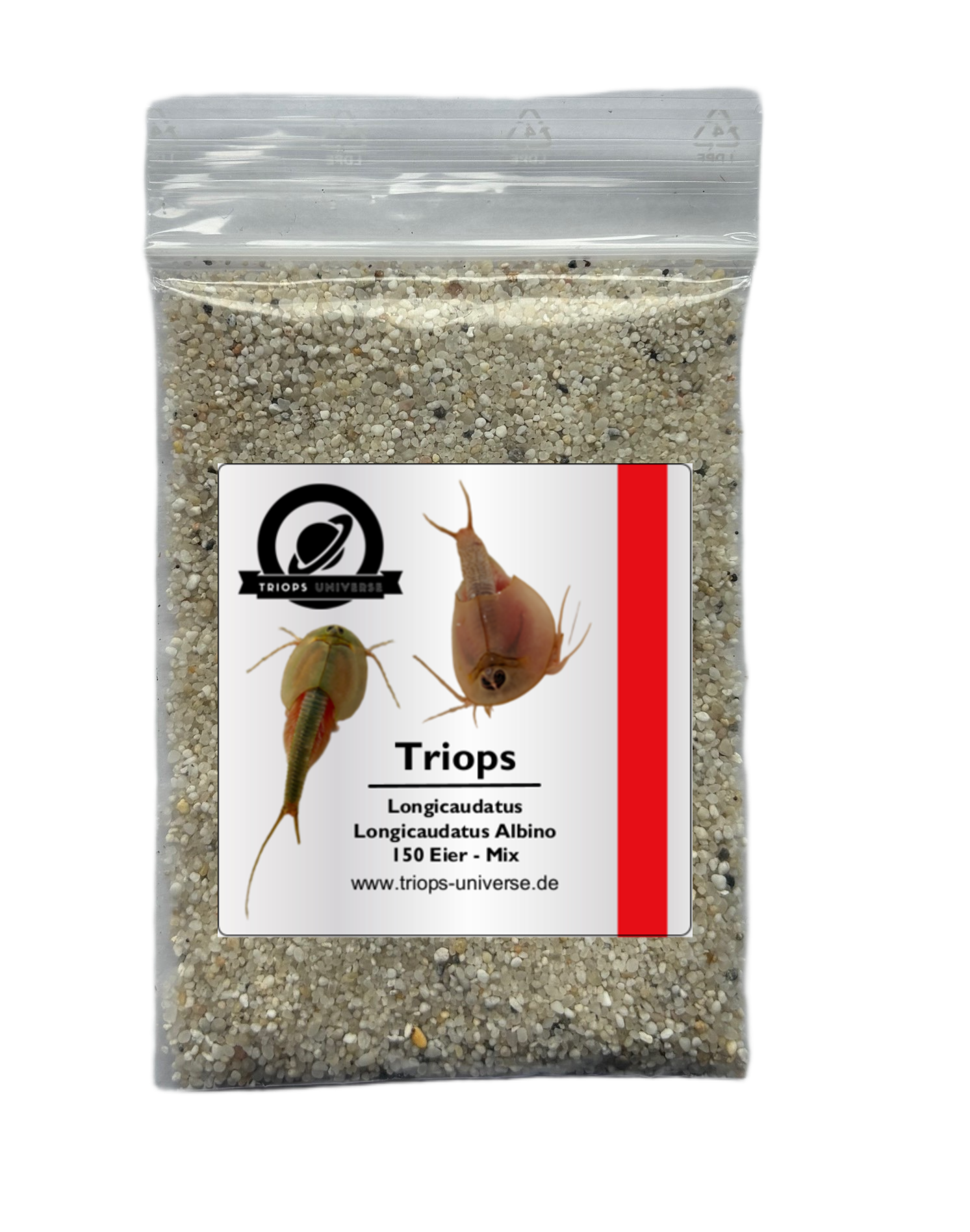 Triops Longicaudatus + Longicaudatus Albino Mix 150 Eier