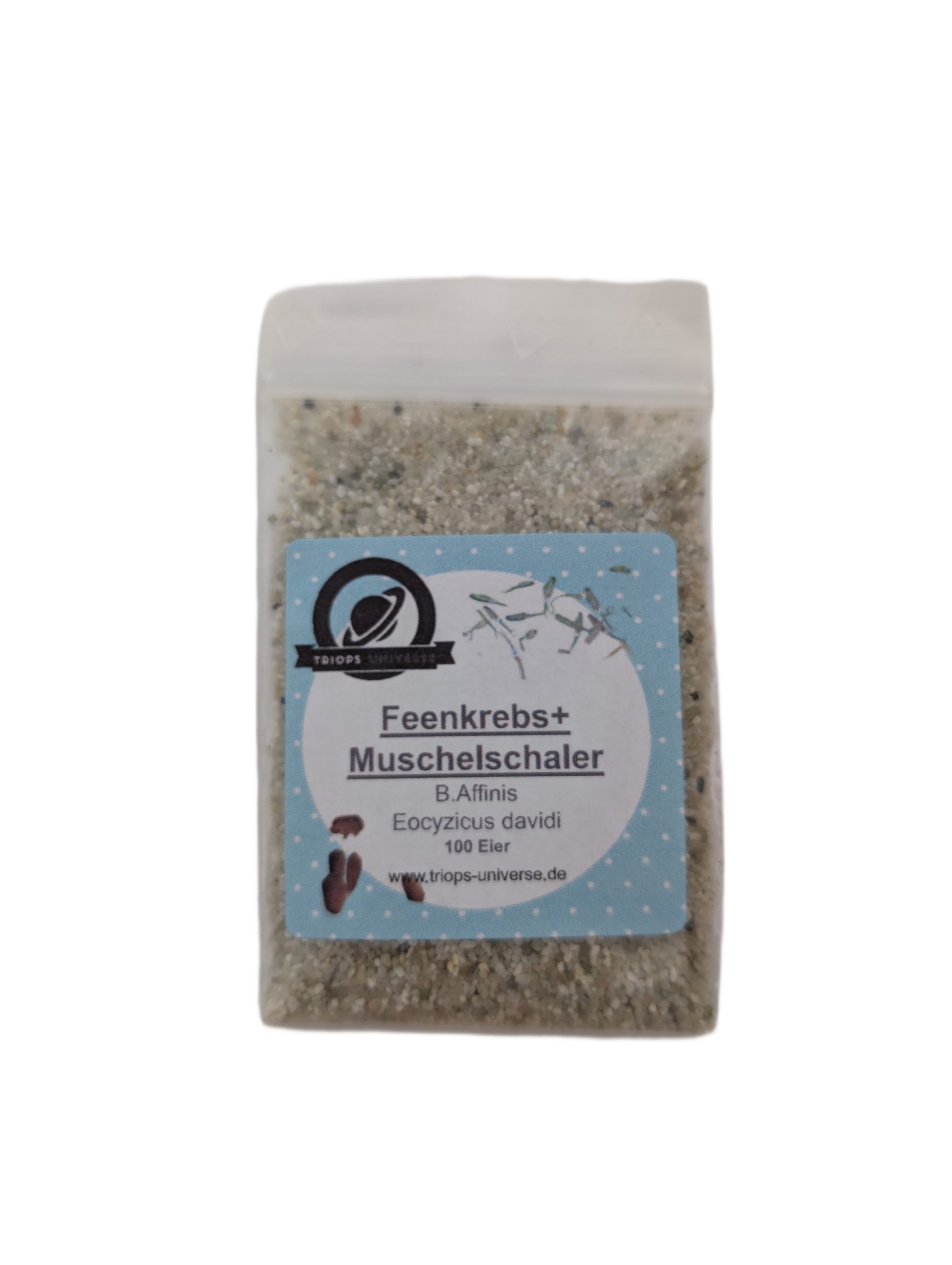 Mongolische Muschelschaler & Feenkrebse Mix