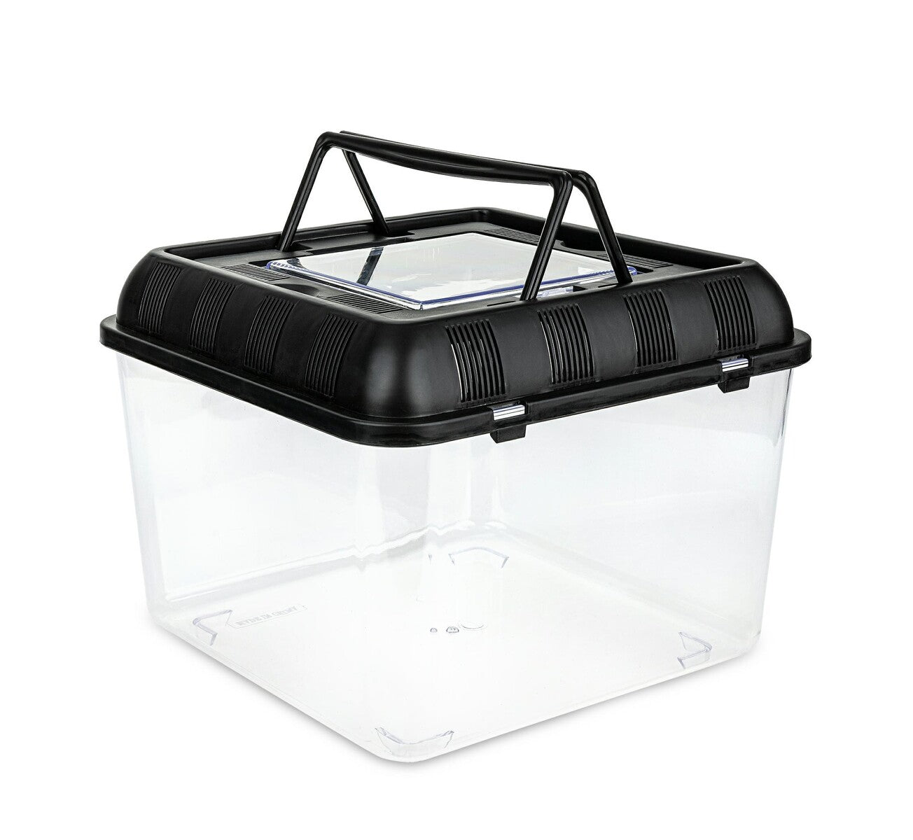 Triops Aquarium