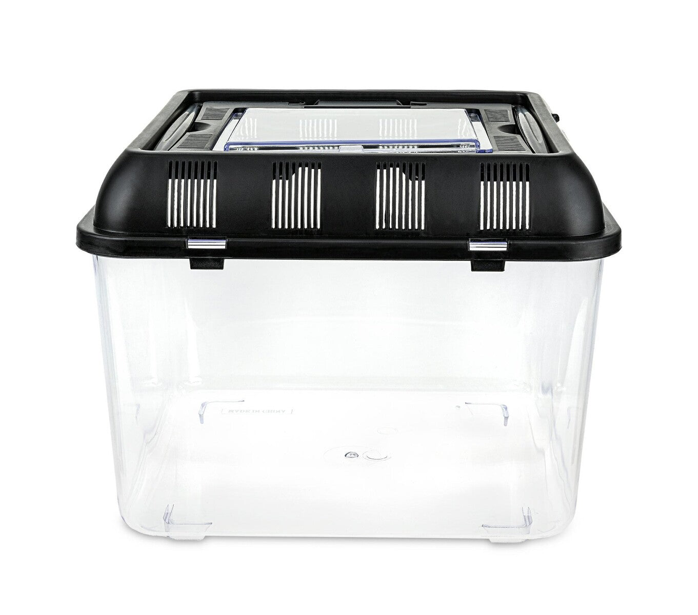 Triops Aquarium