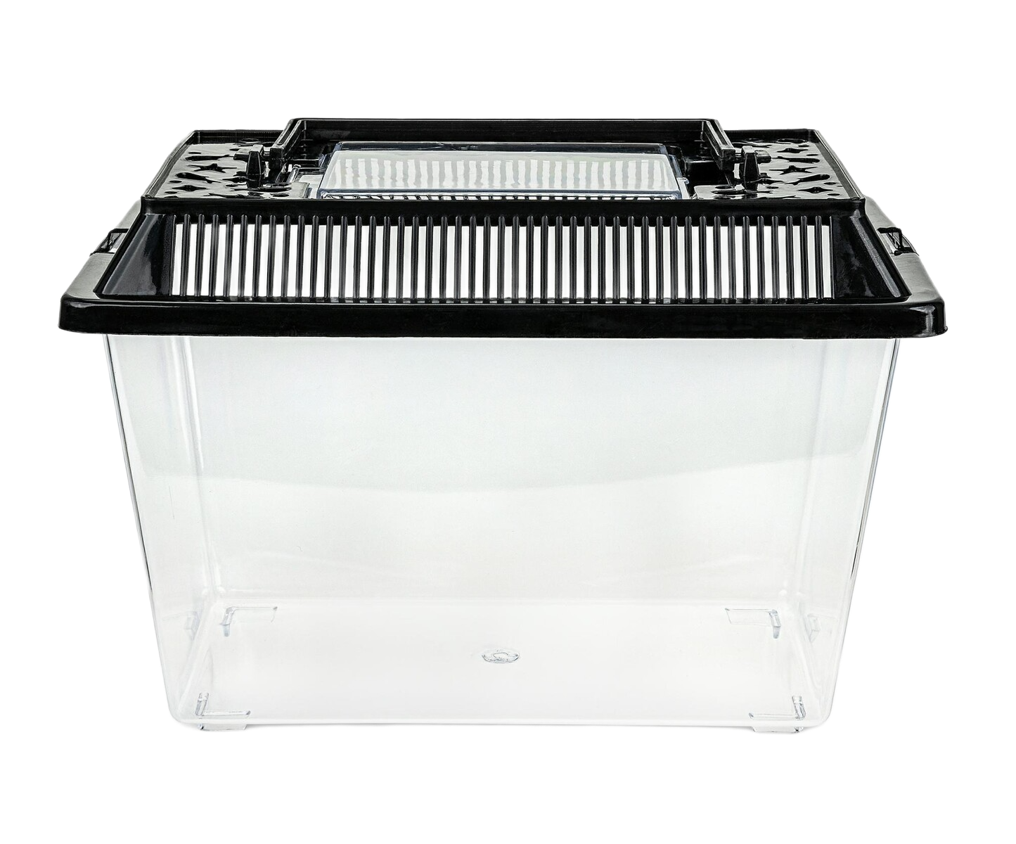Triops Urzeitkrebse Set *mittel* Rechteckiges Becken