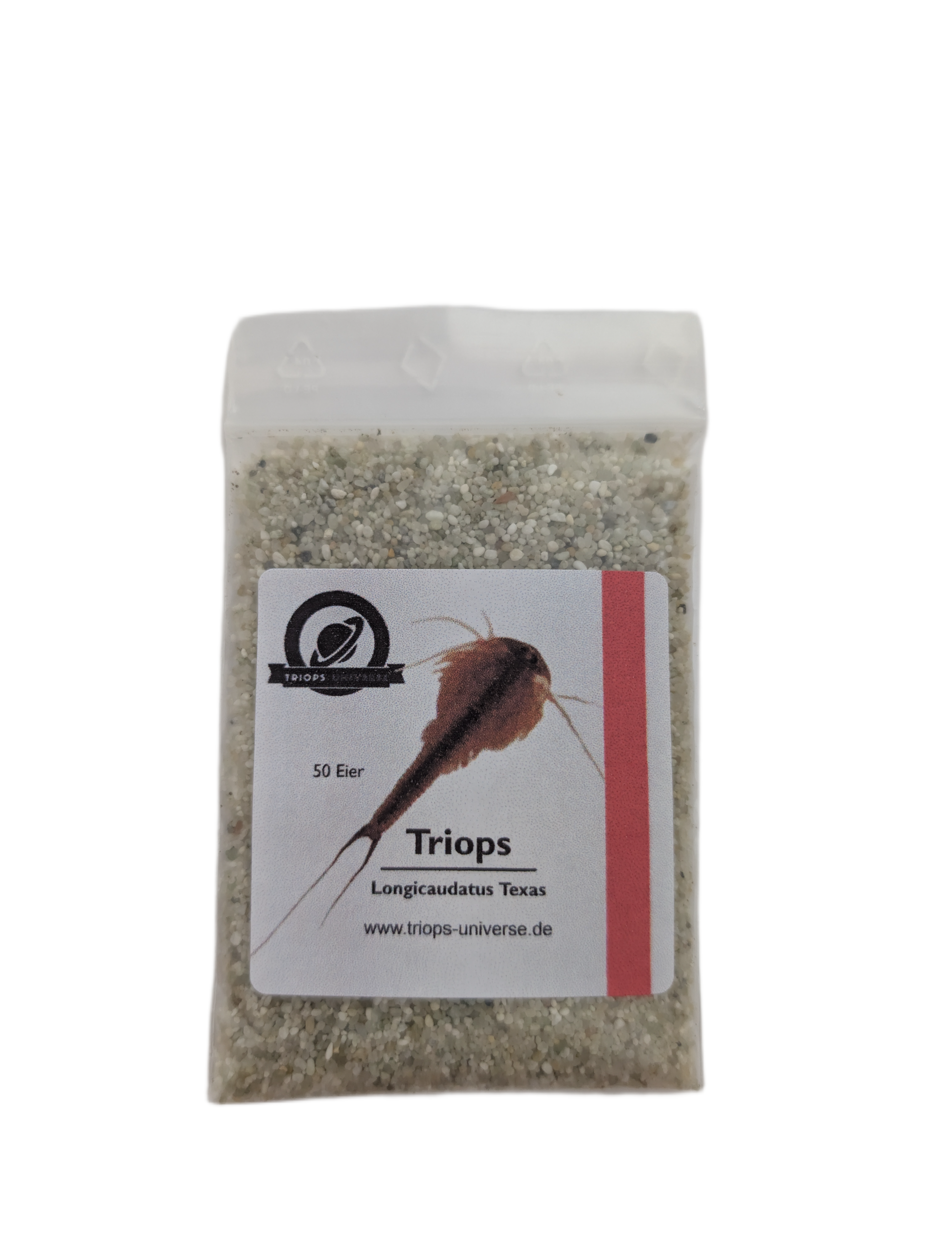 Triops Longicaudatus- Texas
